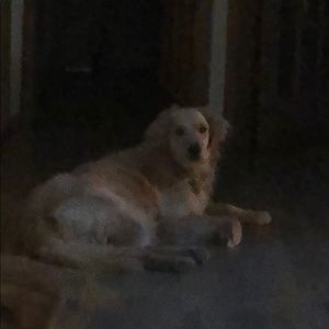 Meet your Posher, Wendy